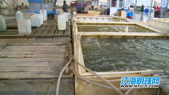 南通这家水产批发市场经营户私挖深水井 盗用地下水危害安全