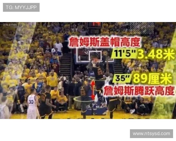 从狼队租借低迷到回归爆发：维蒂尼亚的关键转折